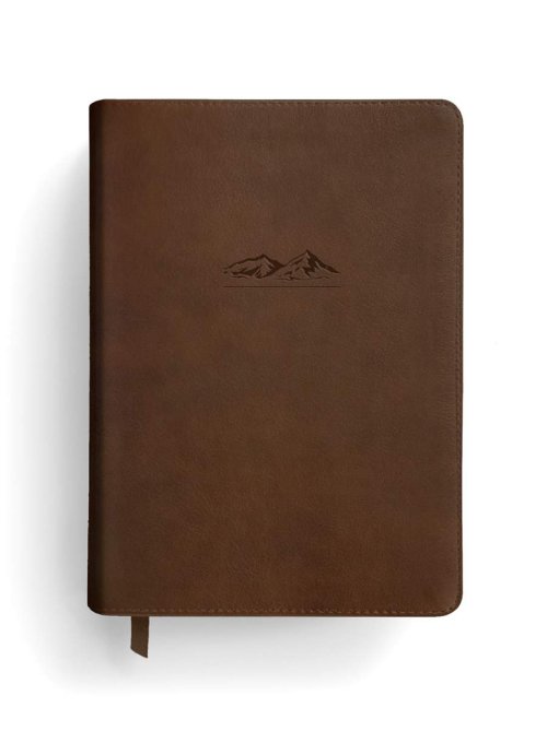 NLT The One Year Bible for Men (LeatherLike, Rustic Brown Mountain)
