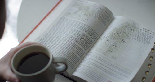 ESV Study Bible, Large Print, Thumb Indexed (Hardcover)