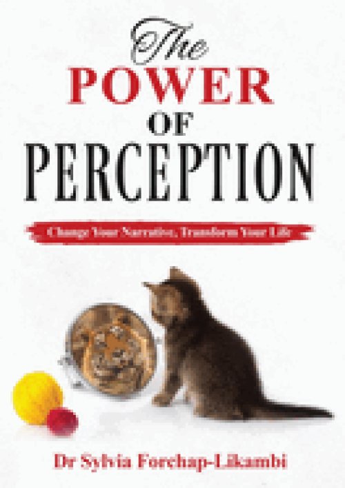 The Power of Perception : Change your Narrative, Transform your Life