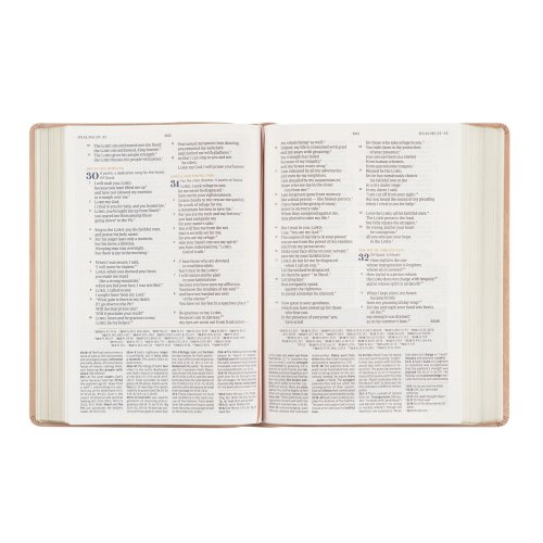 CSB Women's Study Bible: Sonora Theme