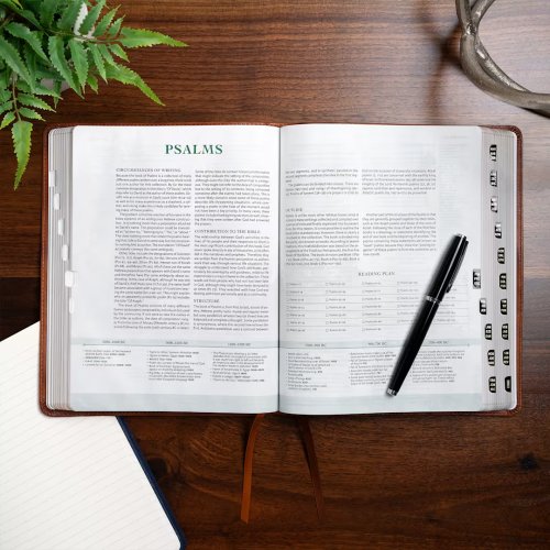 CSB Men of Character Bible, Revised and Updated, Brown LeatherTouch, Indexed