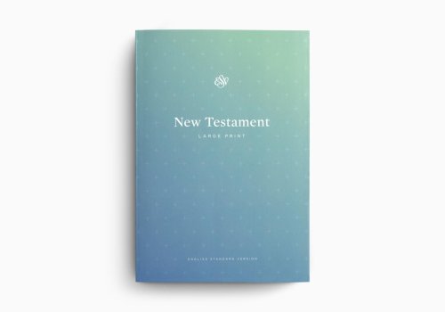 ESV Outreach New Testament, Large Print (Paperback)