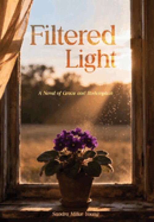 Filtered Light: A Novel of Grace and Redemption