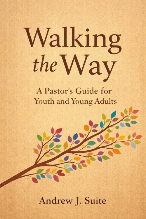 Walking the Way: A Pastor's Guide for Youth and Young Adults: A United Methodist Pastoral Companion for Youth and Young Adults: Faith, Identity, Doubt