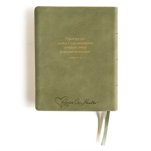 CSB Notetaking Bible, Revive Our Hearts Edition, Sage SuedeSoft LeatherTouch