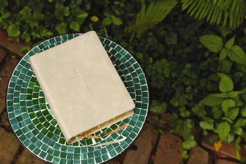 The Jesus Bible, ESV Edition, Leathersoft, Stone