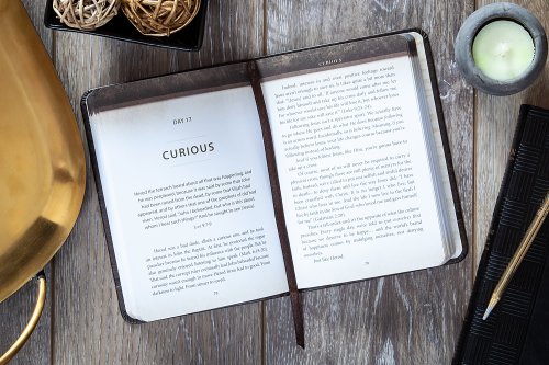The Chosen Book Four