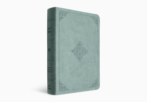 ESV Single Column Heritage Bible (TruTone, Paris Sky, Fleur-de-lis Design)
