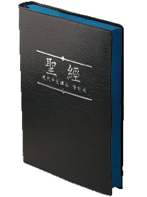 Today's Chinese Version Revised Edit Chinese Union Standard Bible