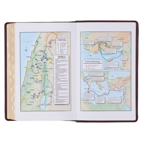 KJV Bible Giant Print Standard-size Full-grain Leather, Burgundy/Mahogany