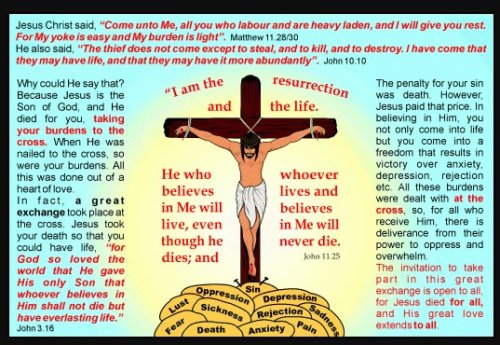 50 x Burdens Tracts