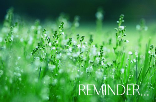 Reminder Postcard: Reminder (Package of 25)