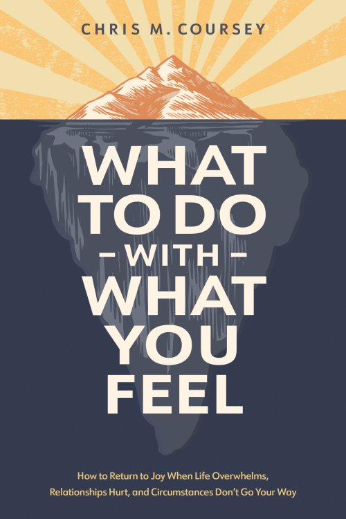 What to Do with What You Feel