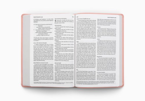 ESV Giant Print Value Thinline Bible (TruTone, Blush Rose, Fleur-de-lis Design)