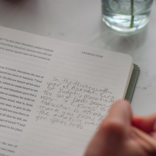 ESV Spiral-Bound Journaling Bible, History (Hardcover)
