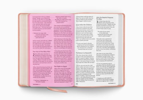 ESV Holy Bible, Dyslexia-Friendly Edition