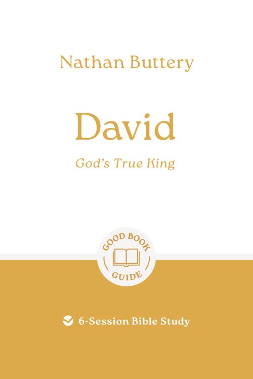 David: God's True King