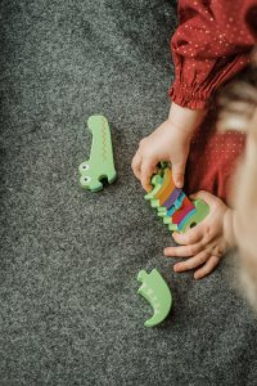 Crocodile Puzzle (FSC®)