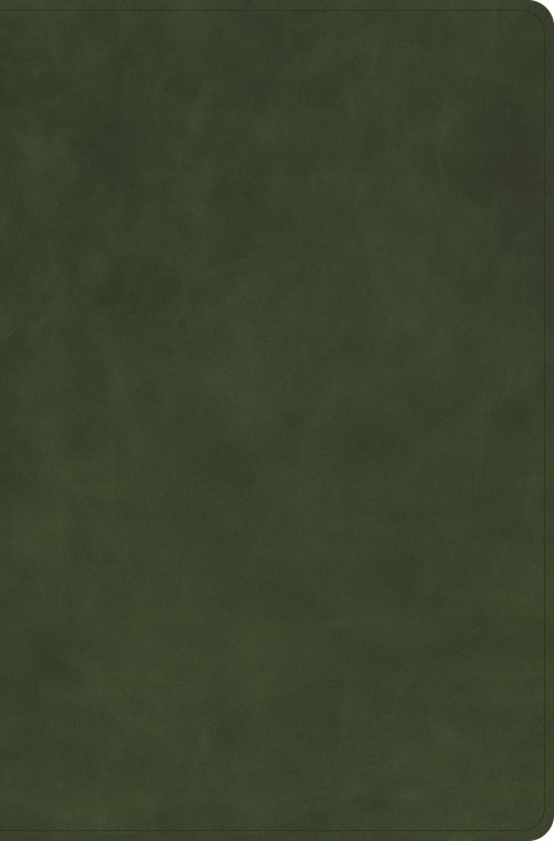 NASB Large Print Thinline Bible, Marbled Oilve