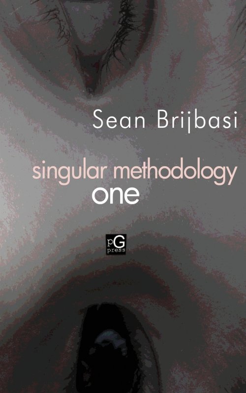 singular methodology one