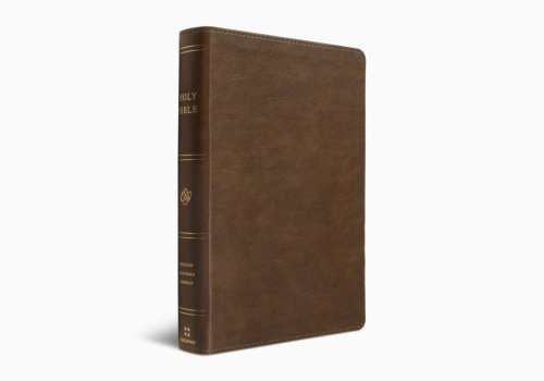 ESV Holy Bible: Dyslexia-Friendly Edition