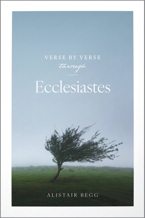 Verse by Verse Through Ecclesiastes