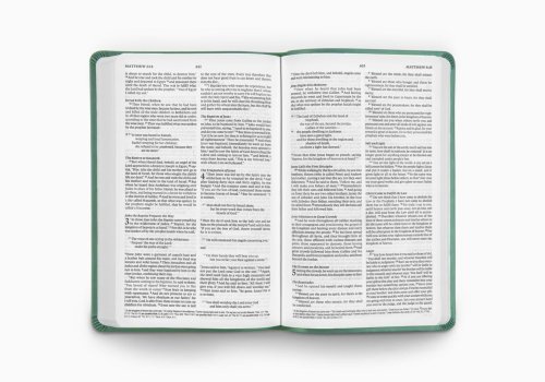 ESV Value Thinline Bible (TruTone, Teal, Ornament Design)