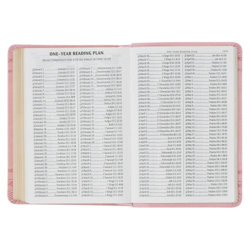 KJV Crown of Thorns Pink faux Leather Large Print Compact King James Bible