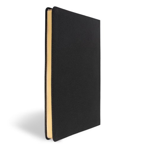CSB Connecting Scripture New Testament, Black Genuine Leather
