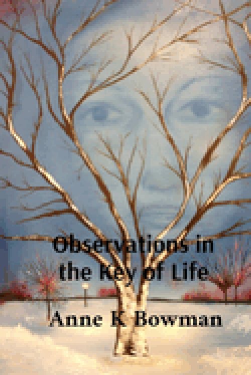 Observations in the Key of Life