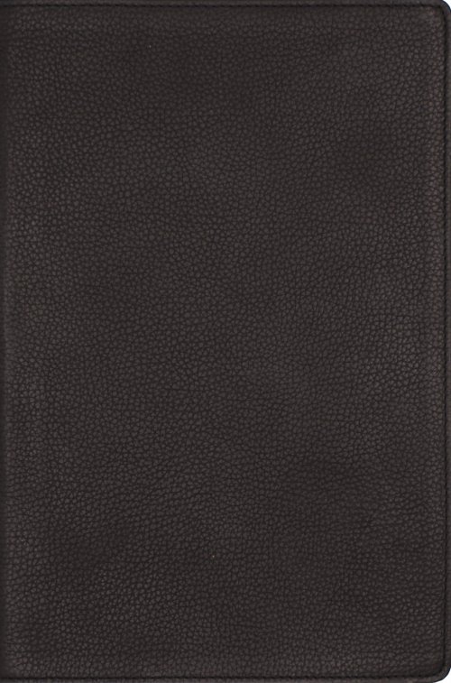 NRSVue, Single-Column Reference Bible, Genuine Calfskin Leather, Black, Art Gilded Edges, Comfort Print