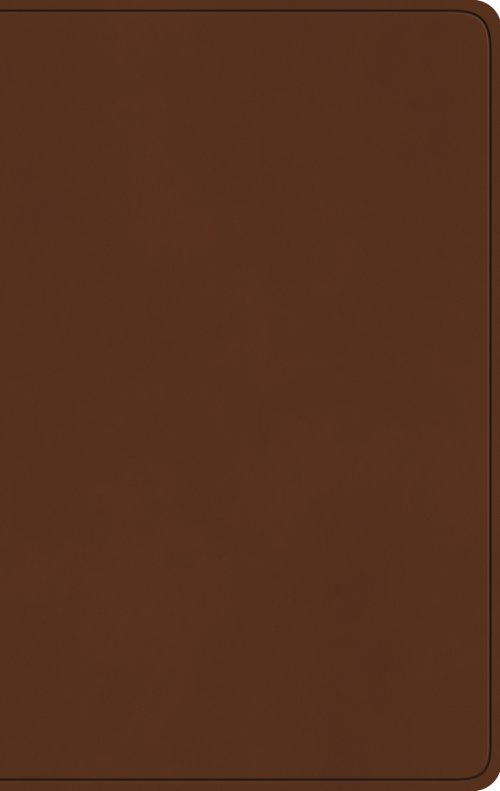 ESV Large Print Value Thinline Bible (TruTone, Camel)