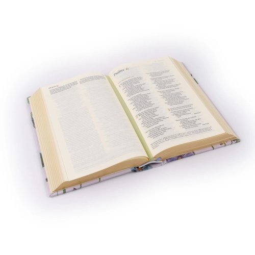 NLT Compact Bible: Willow Theme