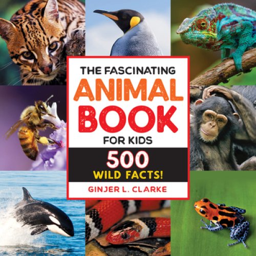 Fascinating Animal Book For Kids