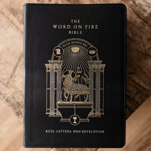 The Word on Fire Bible: Volume 2