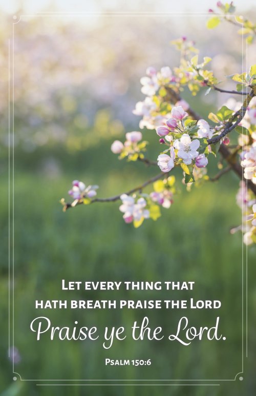 General Worship Bulletin: Let Every Thing (Package of 100)