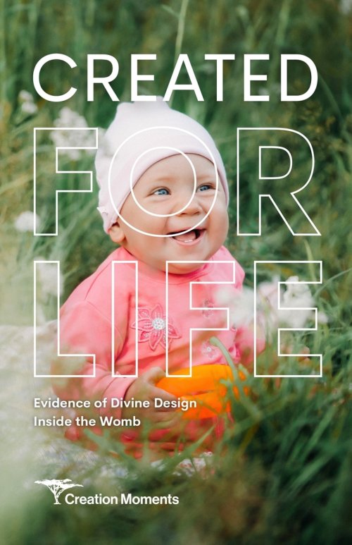 Created for Life: Evidence of Divine Design Inside the Womb