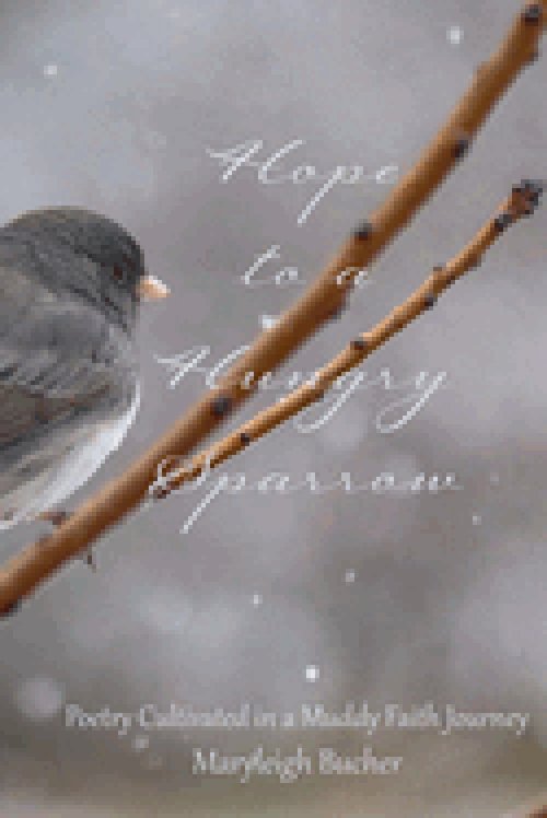 Hope to a Hungry Sparrow: Poetry Cultivated in a Muddy Faith Journey
