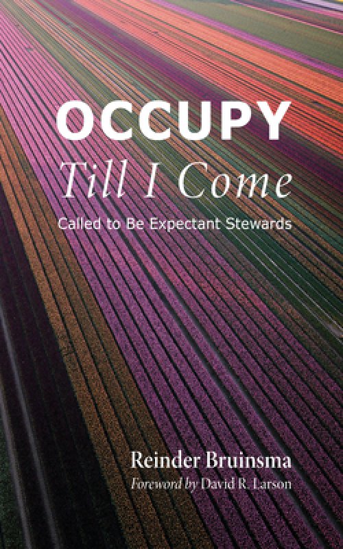 Occupy Till I Come