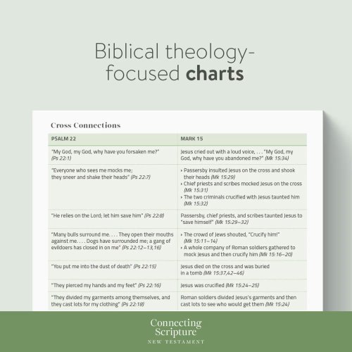 CSB Connecting Scripture New Testament, Brown LeatherTouch