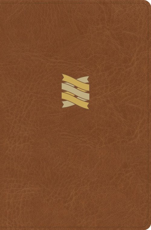 CSB Connecting Scripture New Testament, Brown LeatherTouch