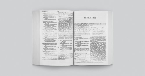 ESV Economy Bible, Giant Print