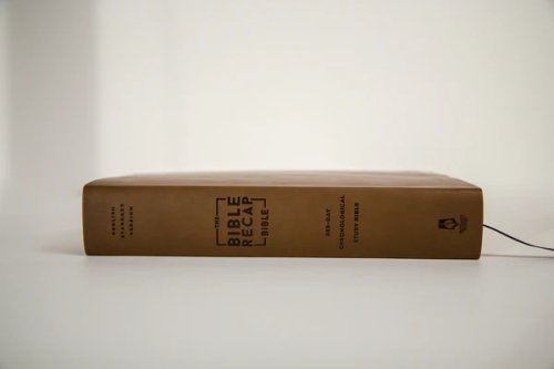 The Bible Recap 365-Day Chronological ESV Study Bible, Brown Imitation Leather