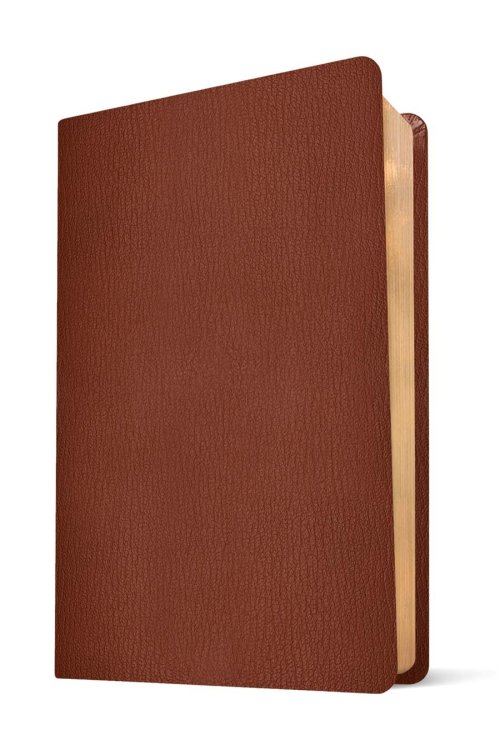 NLT Super Giant Print Bible, Filament Enabled (Genuine Leather, Brown, Red Letter)