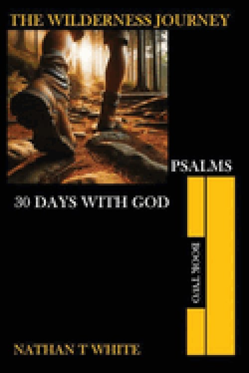 THE WILDERNESS JOURNEY BOOK TWO