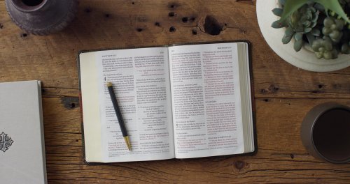 ESV Large Print Personal Size Bible, Red Letter (TruTone, Forest/Tan, Trail Design)
