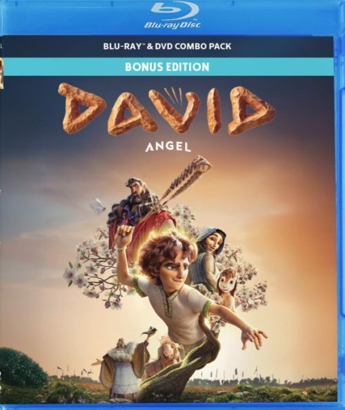 DVD-DAVID (Blu Ray/DVD Combo)