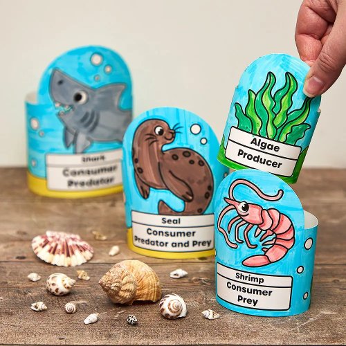 Food Chain Animal Nesting Colour-In Sets (Pack of 3)