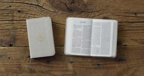 ESV Vest Pocket New Testament with Psalms and Proverbs, Red Letter (TruTone, Stone, Branch Design)