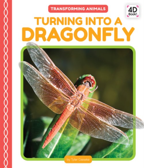 Turning Into A Dragonfly